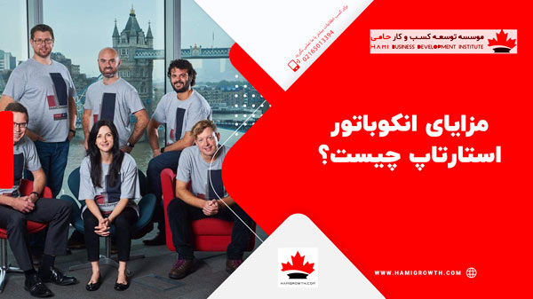 چندنفر در شرکت به عنوان انکوباتور استارتاپ